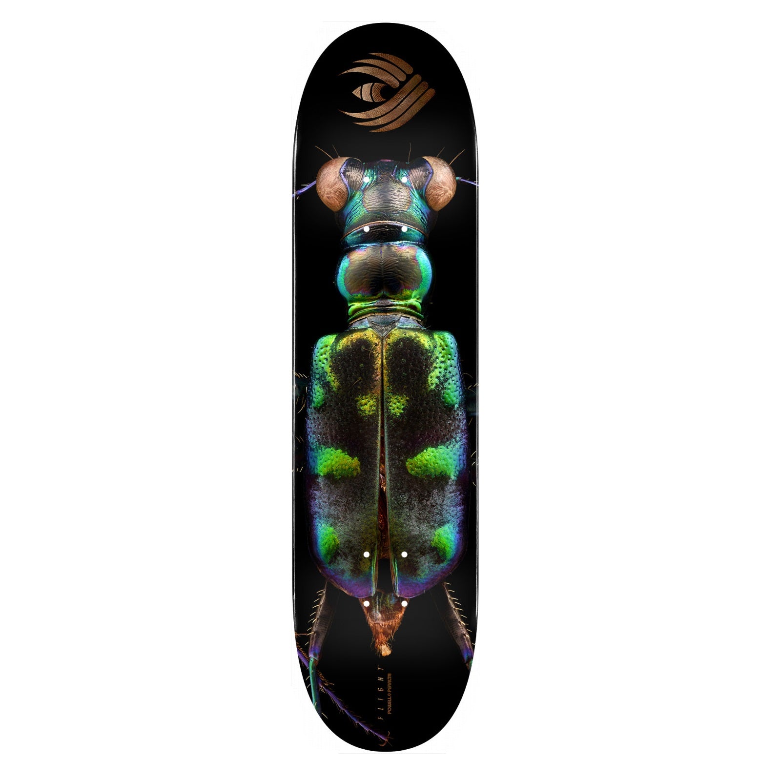 Powell Peralta, Powell Peralta BISS Tiger Beetle Flight Skateboard Deck - 8.25" Black