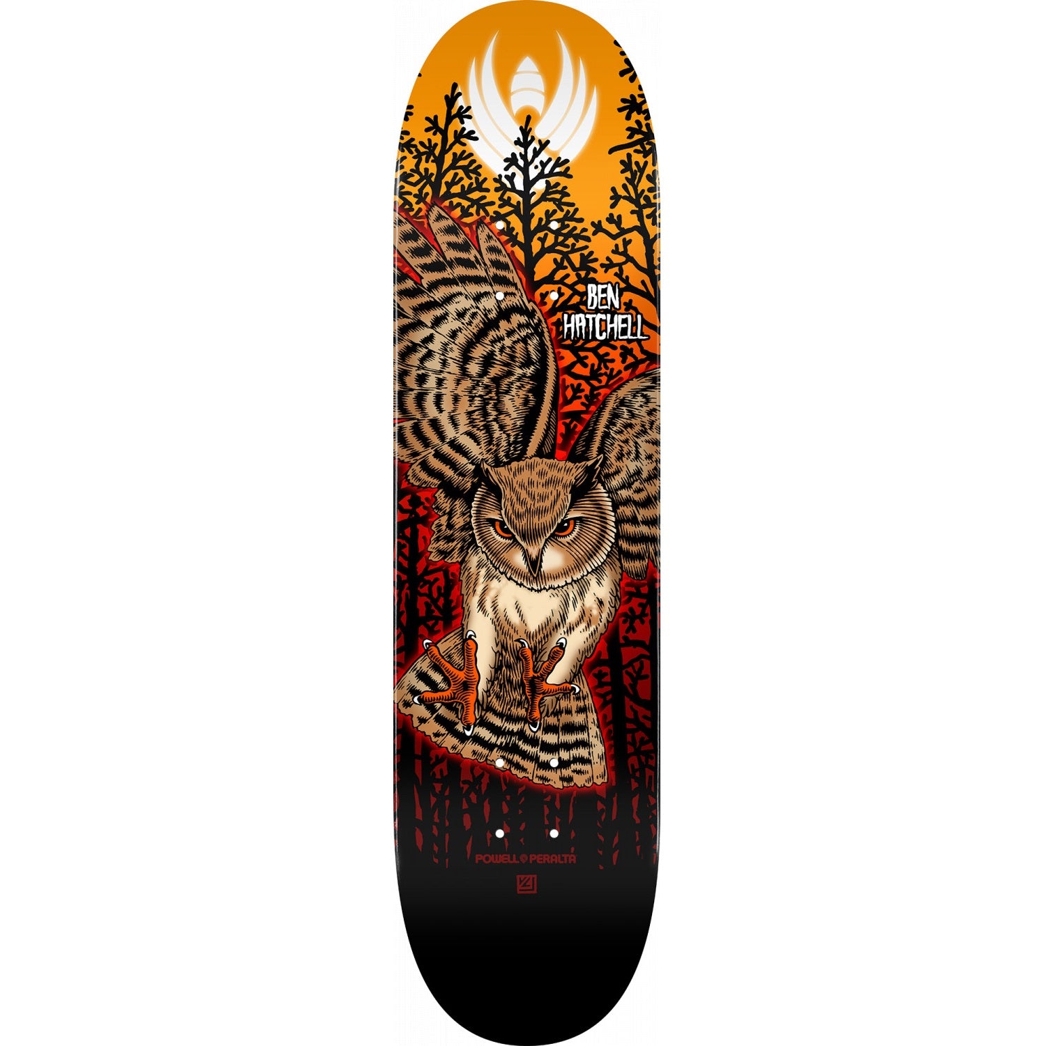 Powell Peralta, Powell Peralta Ben Hatchell Owl 2 Flight Skateboard Deck - 8.5"